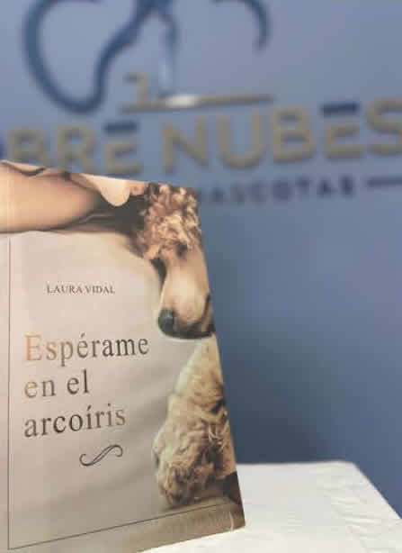 Libro, Espérame en el arcoíris, Laura Vidal