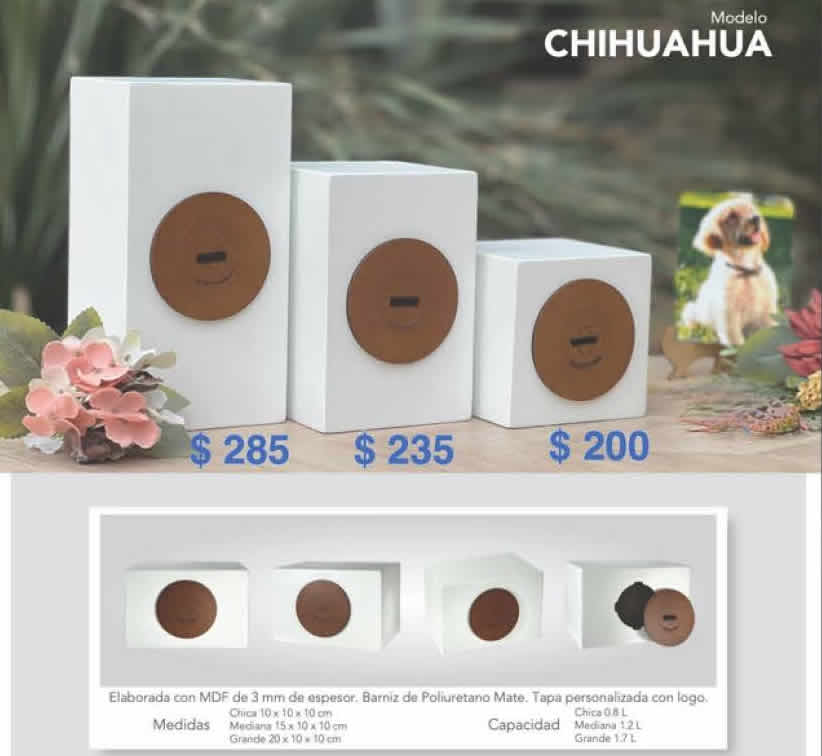 Urna, Chihuahua, Chica (1pieza)