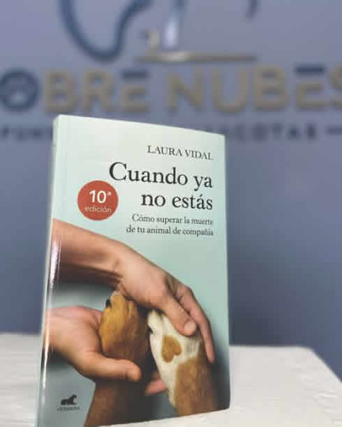 Libro, Cuando ya no estás, Laura Vidal